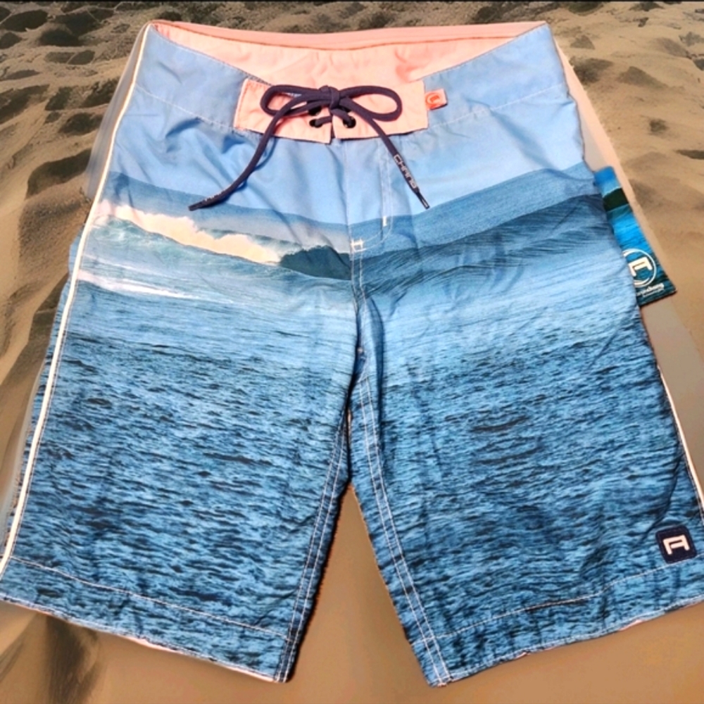 Aaron Chang Blue and Pink Women's Swim Shorts
